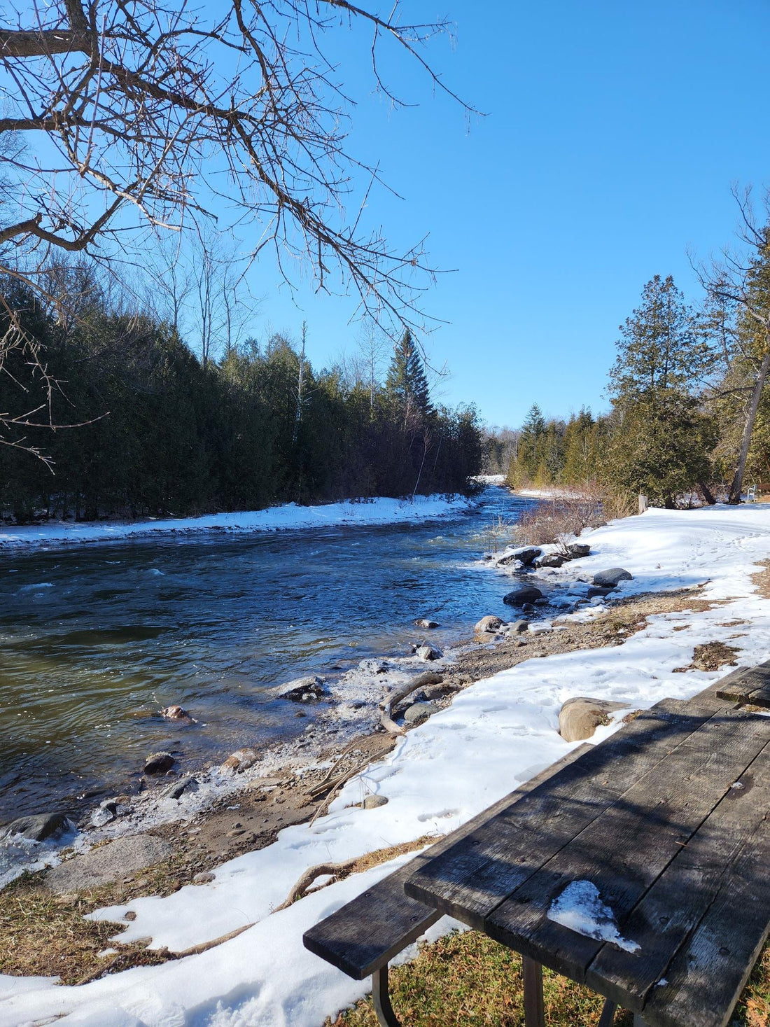 Why Canadian-Engineered Fly Rods Make a Difference.